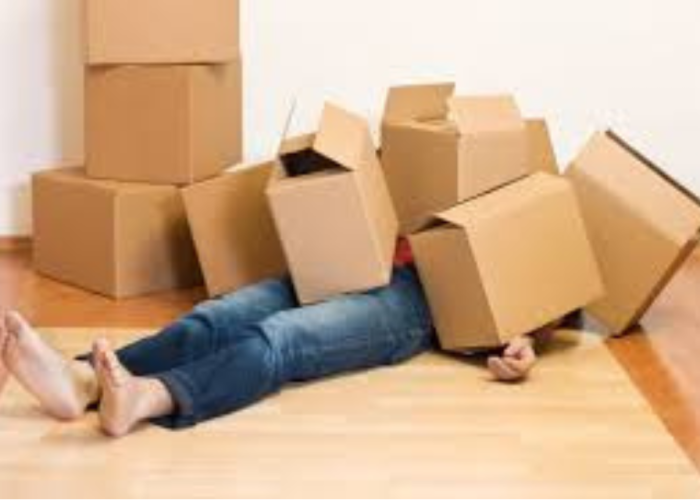 Northern Removals team member carrying boxes during house move